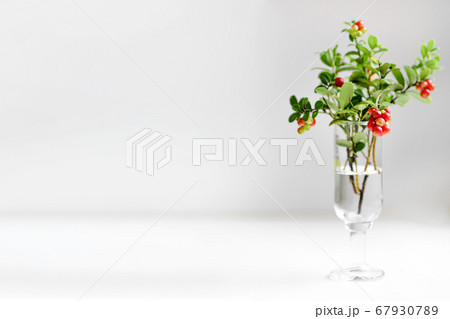 Bouquet of lingonberry with red fruits in glass on Bouquet of lingonberry with red fruits in glass on 67930789