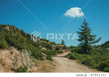 Trail passing through rocky formations on highlands Trail passing through rocky formations on highlands 67931131