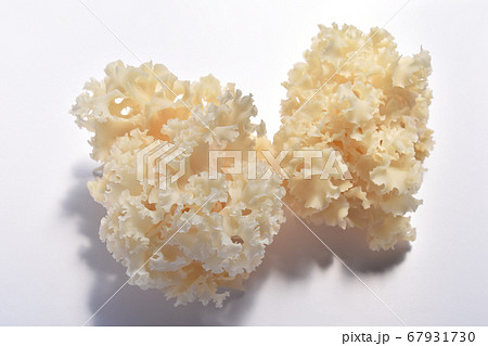 きのこ（はなびらたけ） 67931730