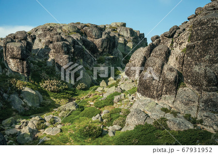 Hilly landscape of green ravine with rocks Hilly landscape of green ravine with rocks 67931952