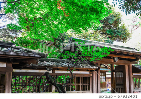 旧前田家本邸 和館 門構え 旧前田家本邸 和館 門構え 67932401