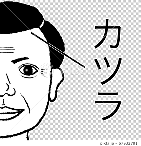 假髮男人 67932791