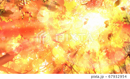 紅葉と木漏れ日背景のイラスト素材