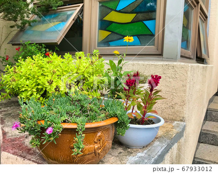 植木鉢 鉢 花 67933012