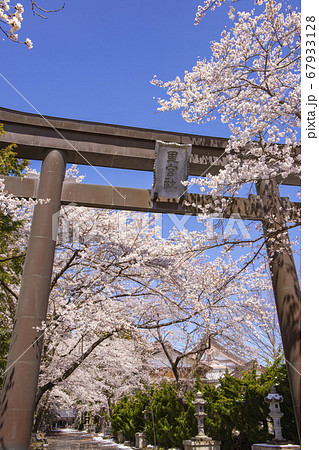 【山梨県】桜満開の国指定重要文化財冨士御室浅間神社 里宮社 【山梨県】桜満開の国指定重要文化財冨士御室浅間神社 里宮社 67933128