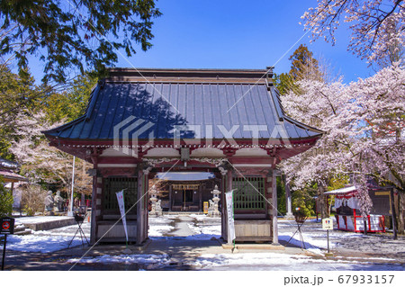 【山梨県】桜満開の国指定重要文化財冨士御室浅間神社 里宮社 随神門 【山梨県】桜満開の国指定重要文化財冨士御室浅間神社 里宮社 随神門 67933157
