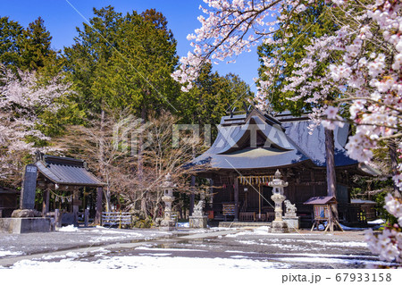 【山梨県】桜満開の国指定重要文化財冨士御室浅間神社 里宮社 【山梨県】桜満開の国指定重要文化財冨士御室浅間神社 里宮社 67933158