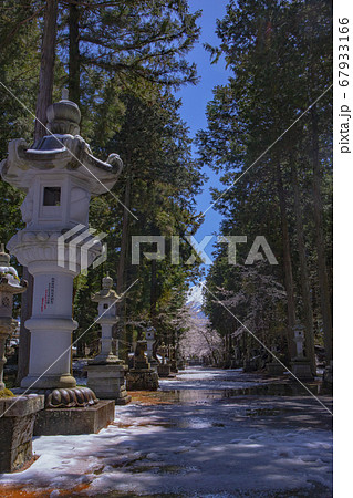 【山梨県】桜満開の国指定重要文化財冨士御室浅間神社　里宮社参道 67933166