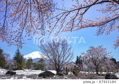 【山梨県】満開の桜と富士山・河口湖ミューズ館 67933184