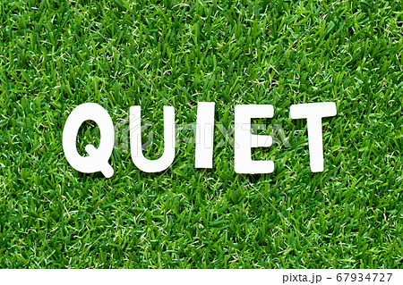 Wood alphabet letter in word quiet on green grass 67934727