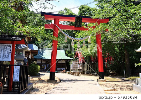 板宿八幡神社で撮影(兵庫県神戸市) 板宿八幡神社で撮影(兵庫県神戸市) 67935034