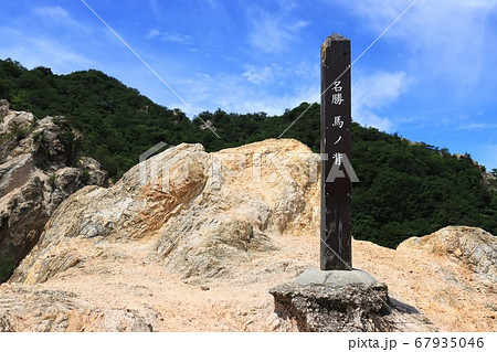 六甲山 須磨アルプス(馬ノ背)で撮影 六甲山 須磨アルプス(馬ノ背)で撮影 67935046