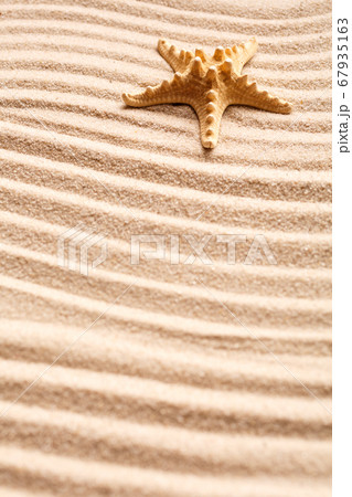 Beautiful summer background. Starfish on sand. Place for text 67935163