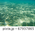 Greece Underwater Life 67937865