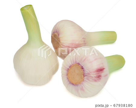 Fresh young garlic isolated on white background 67938180