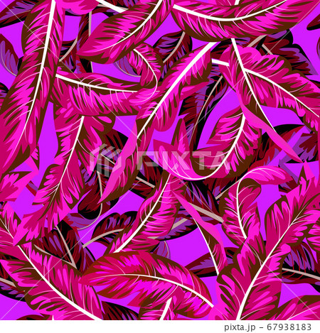 Seamless tropical bright pattern for textile Seamless tropical bright pattern for textile 67938183