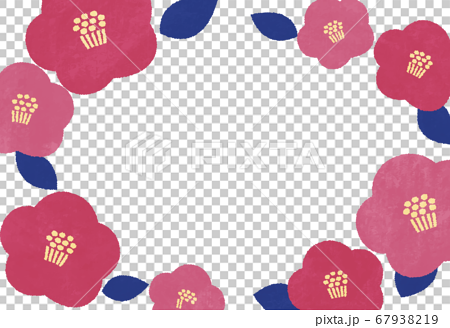 21山茶花框架新年賀卡材料背景透明 插圖素材 圖庫