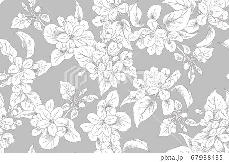 Seamless apple blooming background 1 Seamless apple blooming background 1 67938435