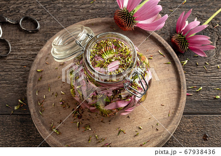 Preparation of echinacea tincture in a glass jar 67938436