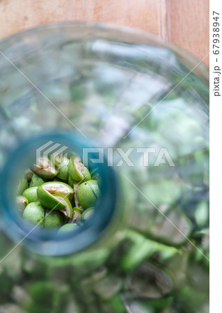 Step-by-step recipe for preparing Italian liquor 67938947