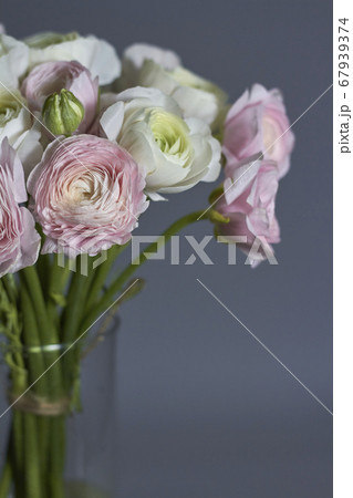 Spring flowers bouquet. Pink and white ranunculus Spring flowers bouquet. Pink and white ranunculus 67939374