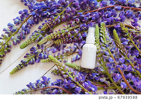 Top view and close-up of unbranded white plastic spray bottle mockup and lupine flowers on a white wooden  background. Natural organic spa cosmetics and liquid antimicrobial spray concept. Flatlay 67939588