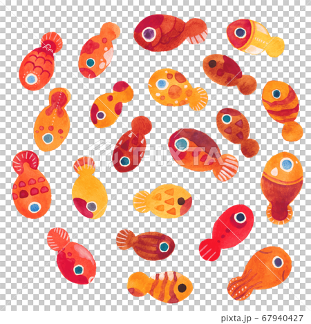 Funny kingu 67940427