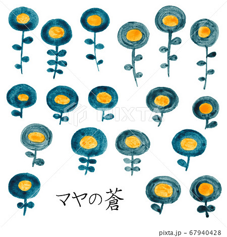 マヤの蒼 マヤの蒼 67940428