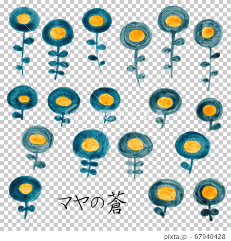 Maya Blue Maya Blue 67940428