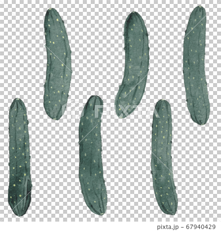 Cucumbers Cucumbers 67940429