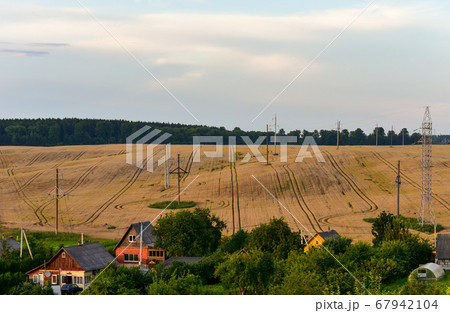 Agricultural field landscape with ears of corn in 67942104