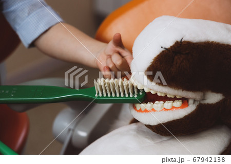 Crop kid cleaning teeth of toy Crop kid cleaning teeth of toy 67942138