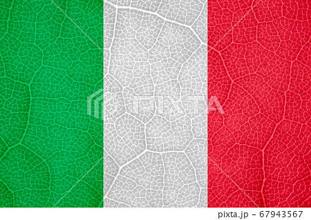 flag of Italy on the structure of a tree leaf macro 67943567