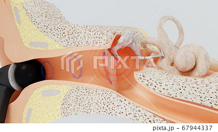 3d render headphone in ear and ear canal. 3d illustration 3d render headphone in ear and ear canal. 3d illustration 67944337