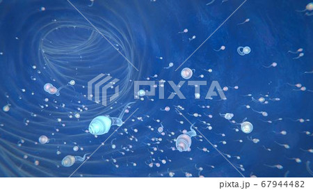 3d render of sperm that aspire to the ovary to fertilize it 67944482