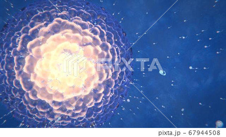 3d render of sperm that aspire to the ovary to fertilize it 67944508