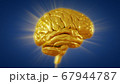 3d render golden brain with convolutions and a radiance of light 67944787