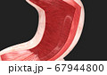 3D render of the stomach in cross section 67944800