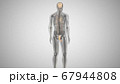 3d render of a man with an illuminated penis. man's health 67944808