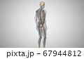 3d render of a man with an illuminated penis. man's health 67944812