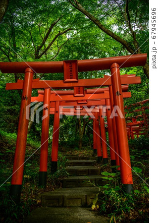 静岡県袋井市油山寺 光明稲荷鳥居の写真素材