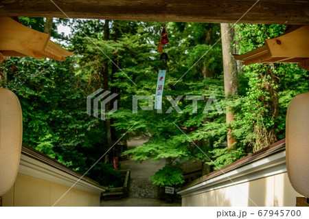 静岡県袋井市油山寺 夏 静岡県袋井市油山寺 夏 67945700