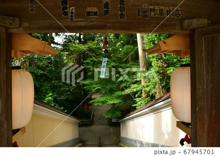 静岡県袋井市油山寺 夏 静岡県袋井市油山寺 夏 67945701