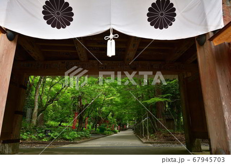 静岡県袋井市油山寺 夏 静岡県袋井市油山寺 夏 67945703