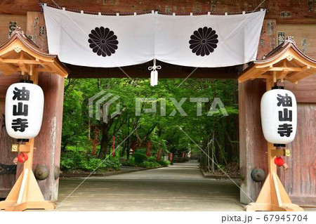 静岡県袋井市油山寺 夏 静岡県袋井市油山寺 夏 67945704