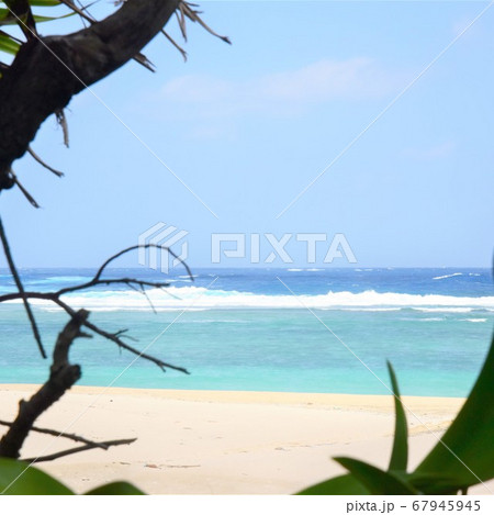 海の景色 67945945
