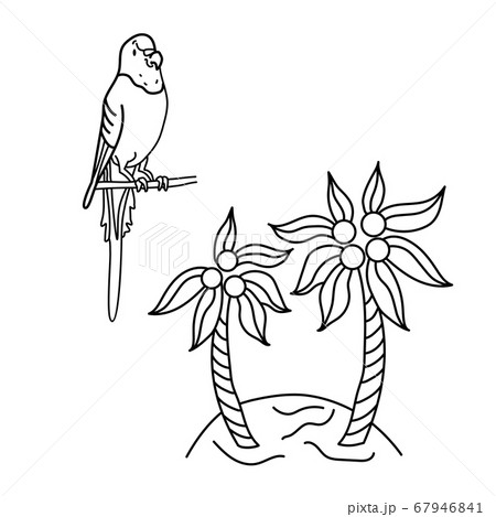 Colorful wavy parrot and island with palm trees. Black and white vector illustration in cartoon style. Circuit 67946841