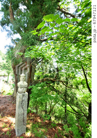 高野山町石道　8町石 67947121