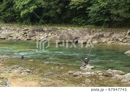 長良川の清流釣り 67947743