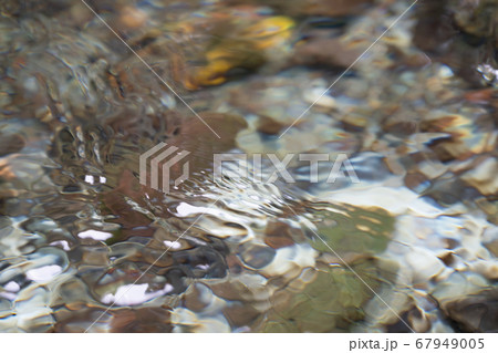 名水百選 白川水源の美味しい水 名水百選 白川水源の美味しい水 67949005